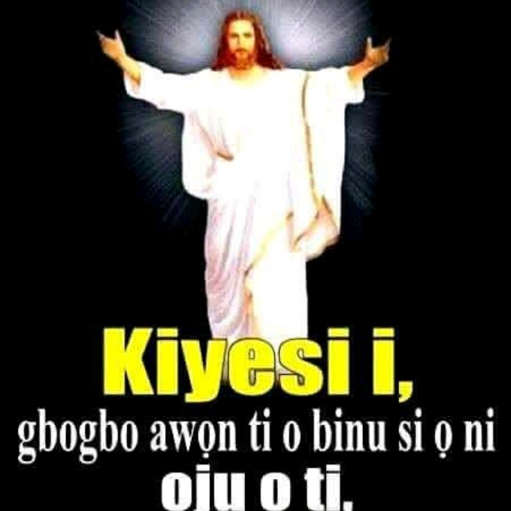 Meet your Posher, Dammy